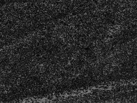 hgh granite colours american black polished.jpg