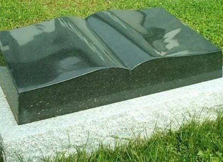 Imgi 52 Pillow BlackOpenBook 864x500x88x0x688x500x1724666851