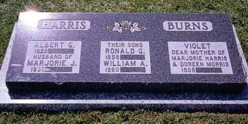 Imgi 58 Pillow 42x18 BritsBlue 784x346x48x0x688x346x1724667009