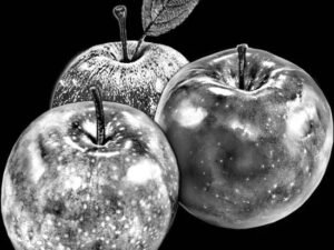 Imgi 89 Apples 708x692x0x80x708x532x1724656620 300x225