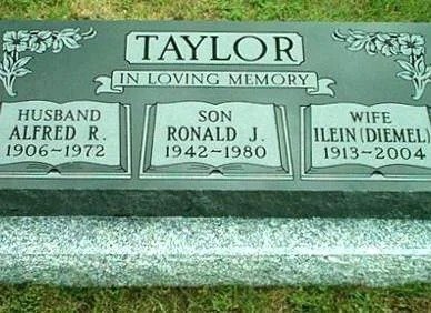 Imgi 91 Pillow LightGreen 750x384x110x0x530x384x1724666935