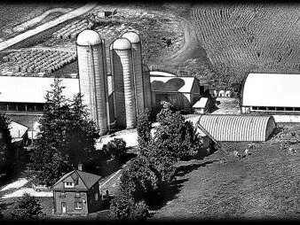 Imgi 99 FarmScene 1150x532x220x0x708x532x1724656608